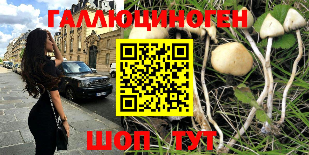 Псилоцибиновые грибы ЛСД  Псилоцибиновые грибы Cubensis  Славгород  Вход с VPN 